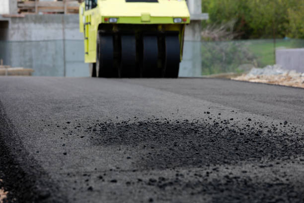 Best Professional Driveway Pavers  in Clinton, NY